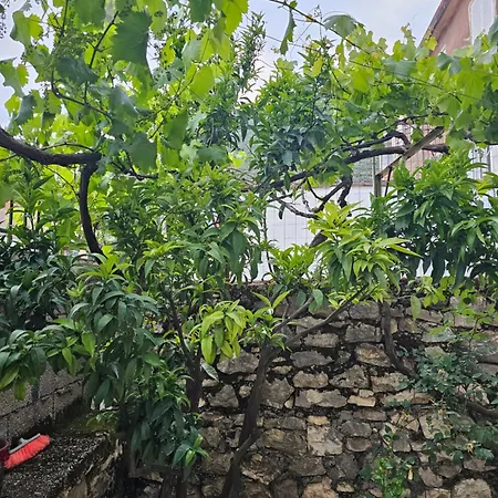 Athina Apartment