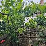 Athina Апартаменты